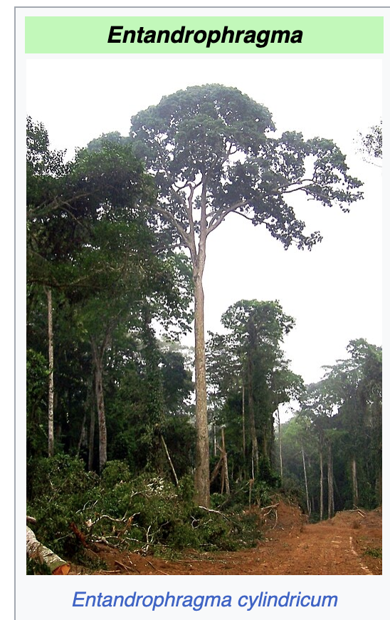 Screenshot 2025 10 12 at 1.01.46 PM 1