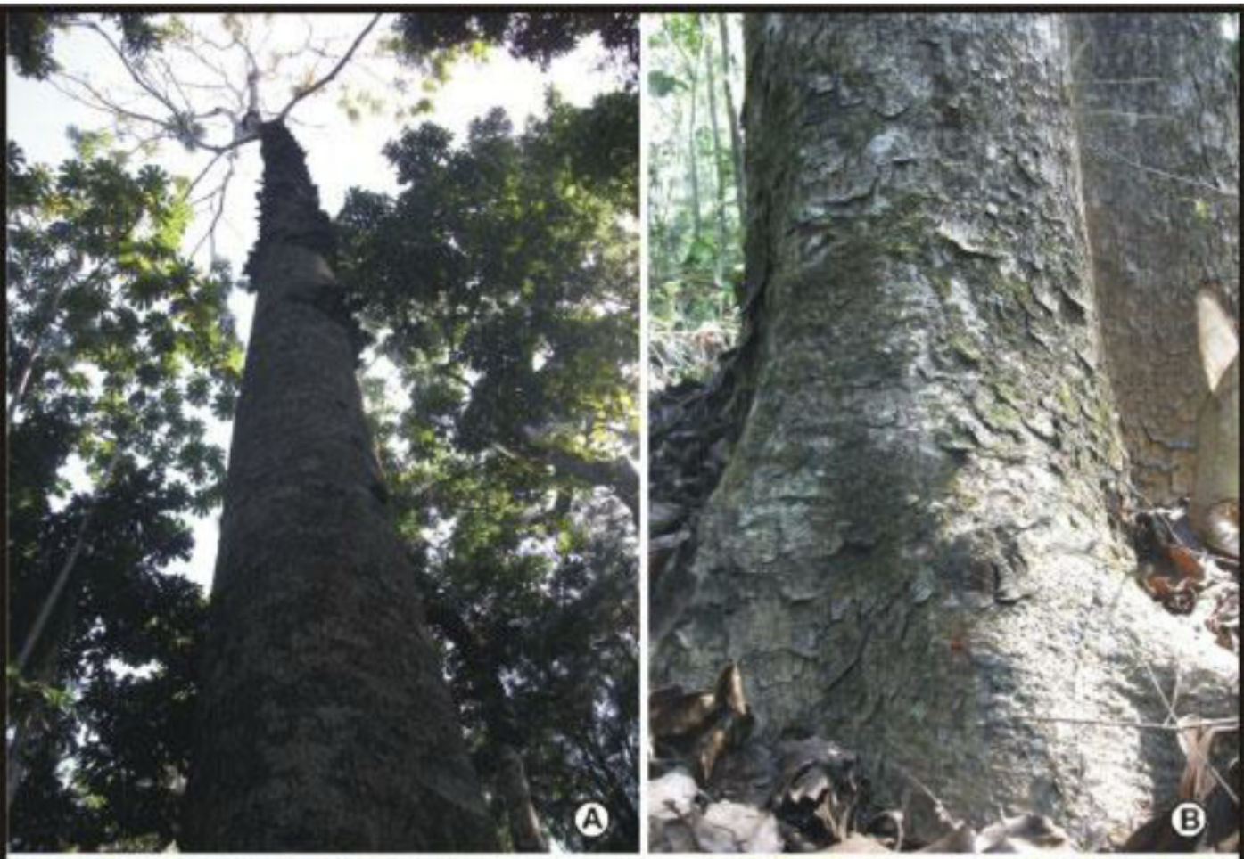 Screenshot 2025 10 12 at 11.56.34 AM