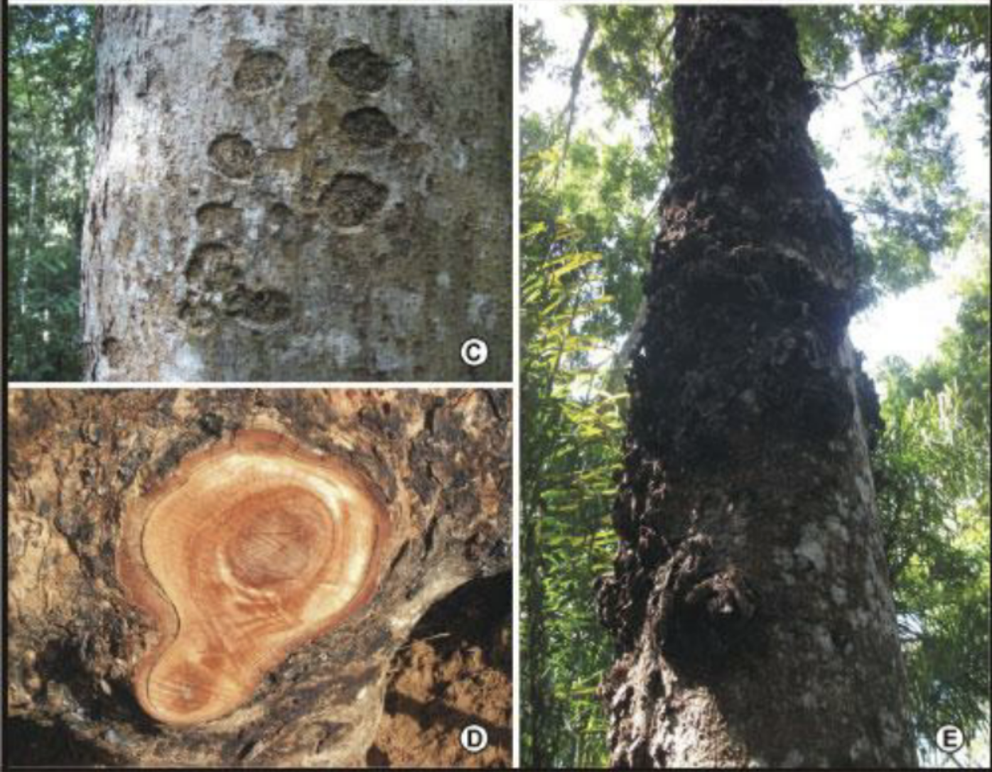 Screenshot 2025 10 12 at 11.57.00 AM