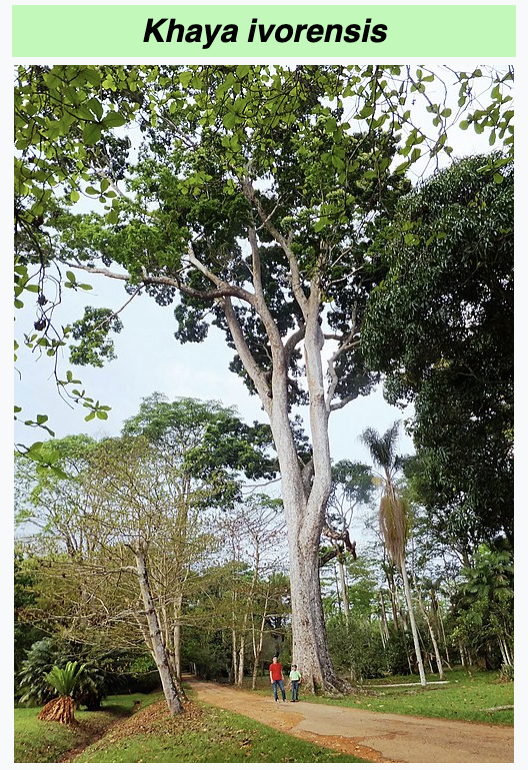 Screenshot 2025 10 12 at 12.28.11 PM 1