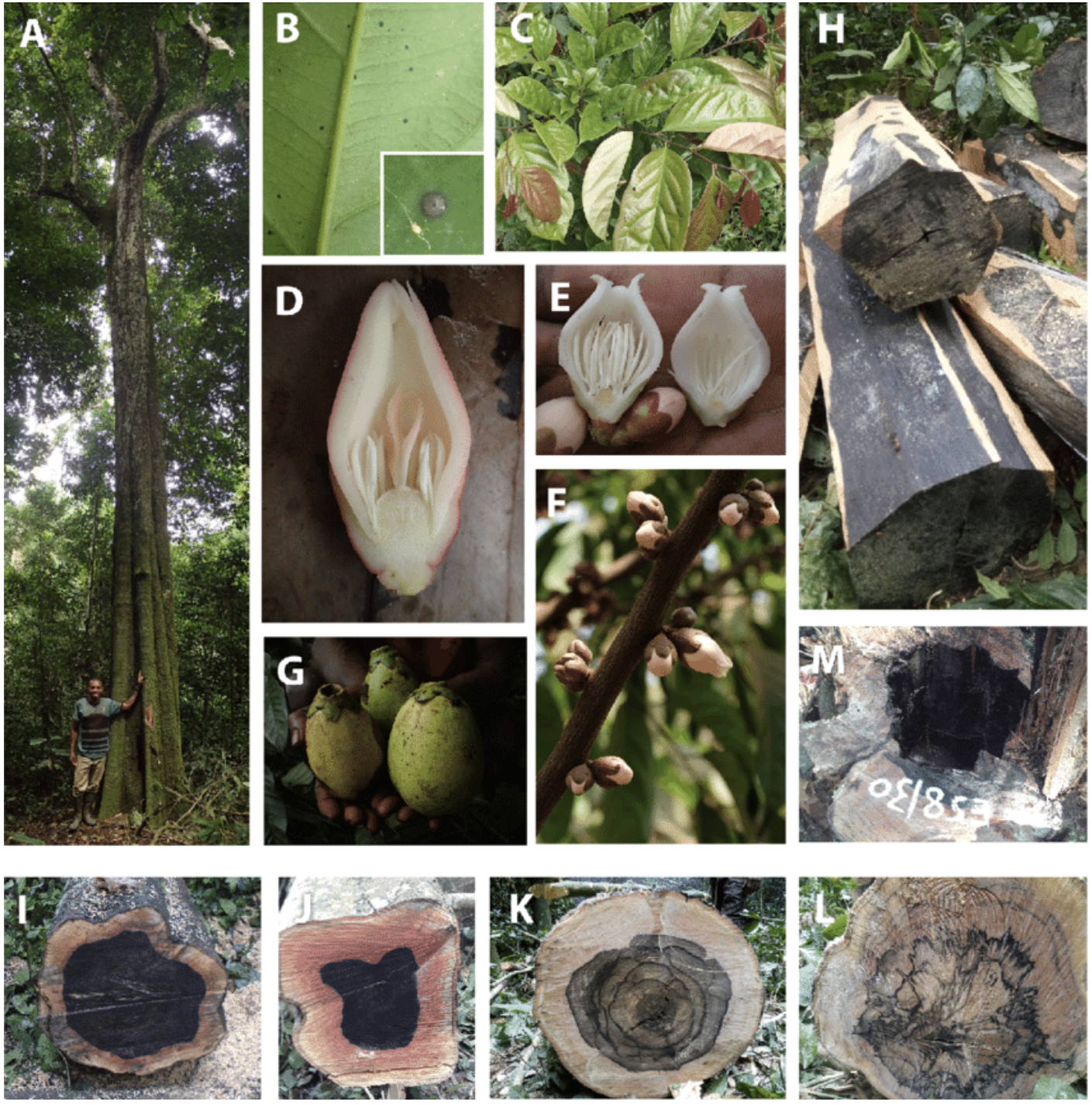 Screenshot 2025 10 12 at 12.41.36 PM