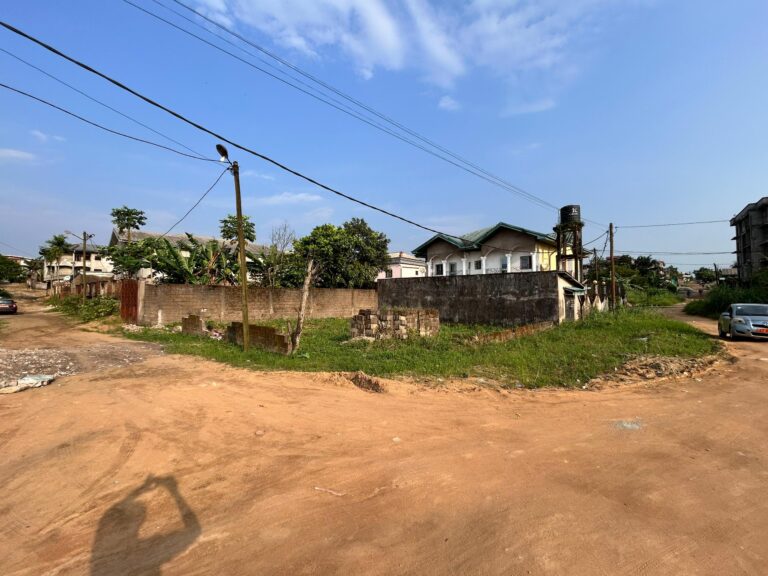 orig 692f265c8aa56 768x576